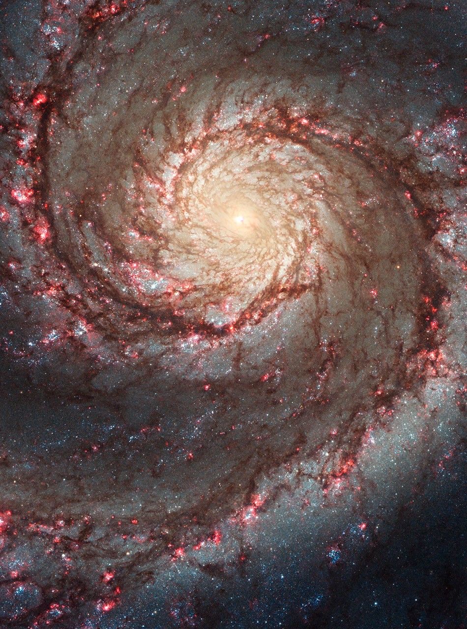 Спиральные рукава галактики Водоворот M51